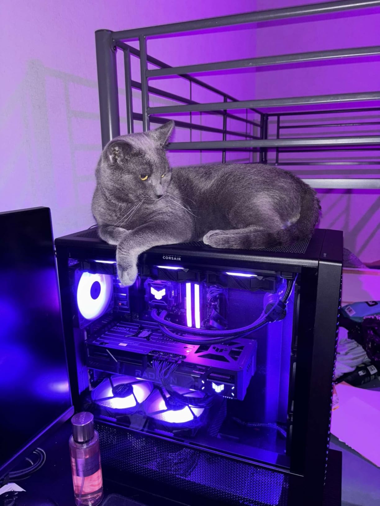 Idéale pour homelab GPU aussi