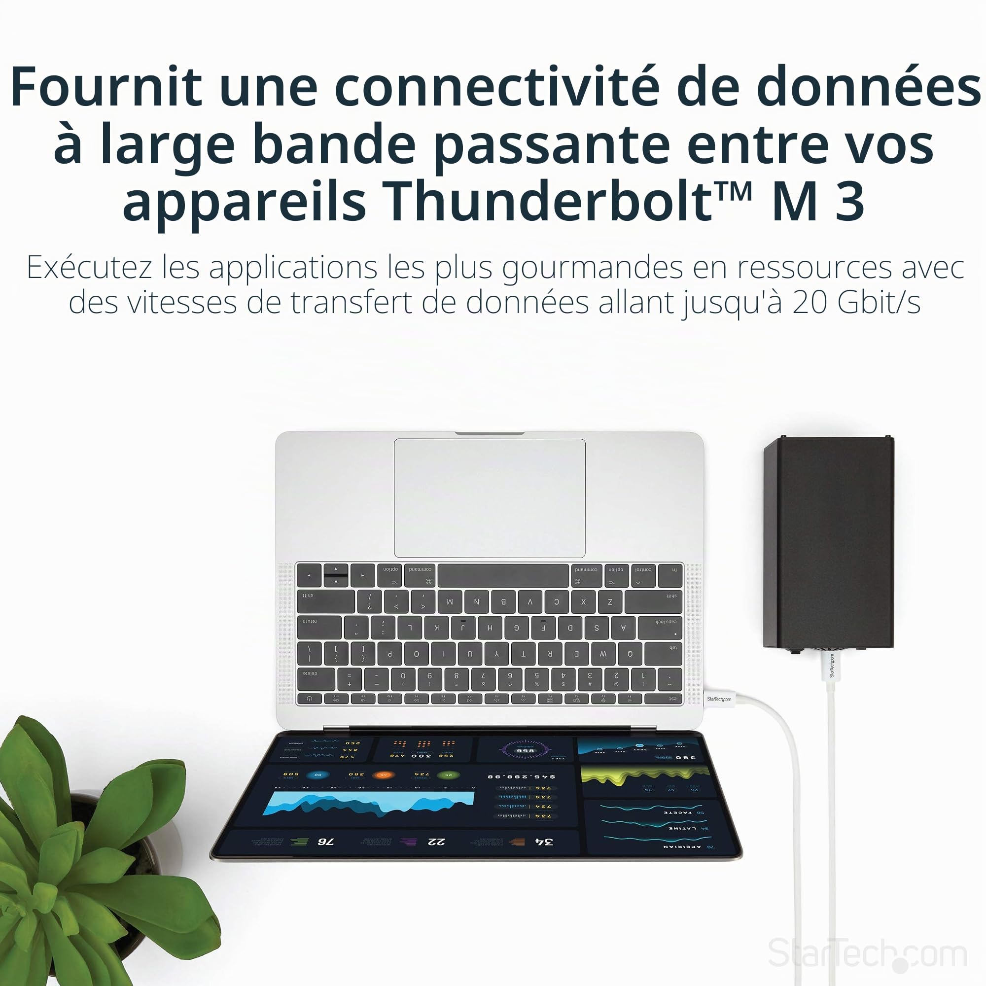 startech-c-ble-thunderbolt-3-passif-2-m-20gbps-100w-pd-4k-usb-c-blanc image 2