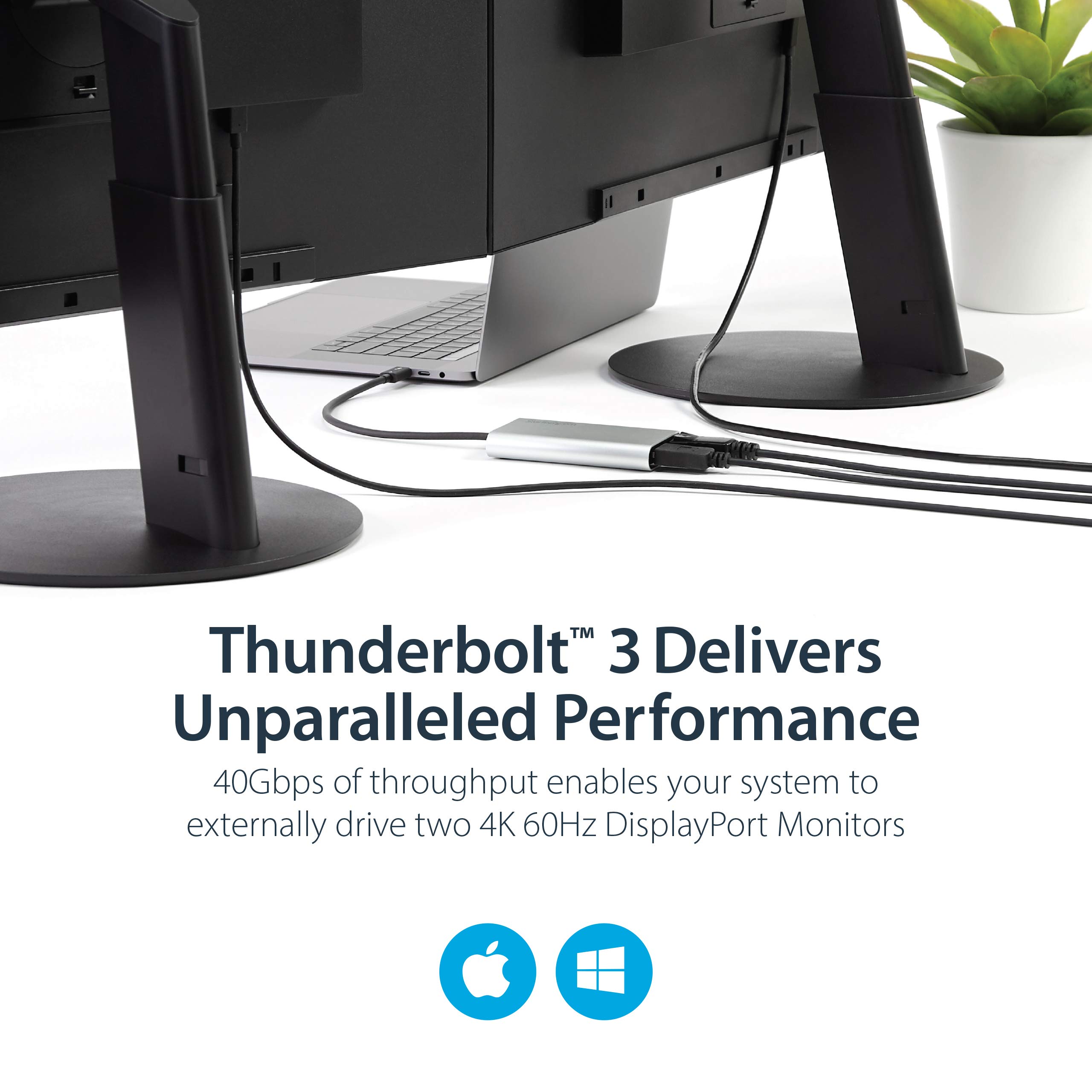startech-com-adaptateur-thunderbolt-3-vers-double-displayport-4k-60hz-5k-tb32dp2 image 3