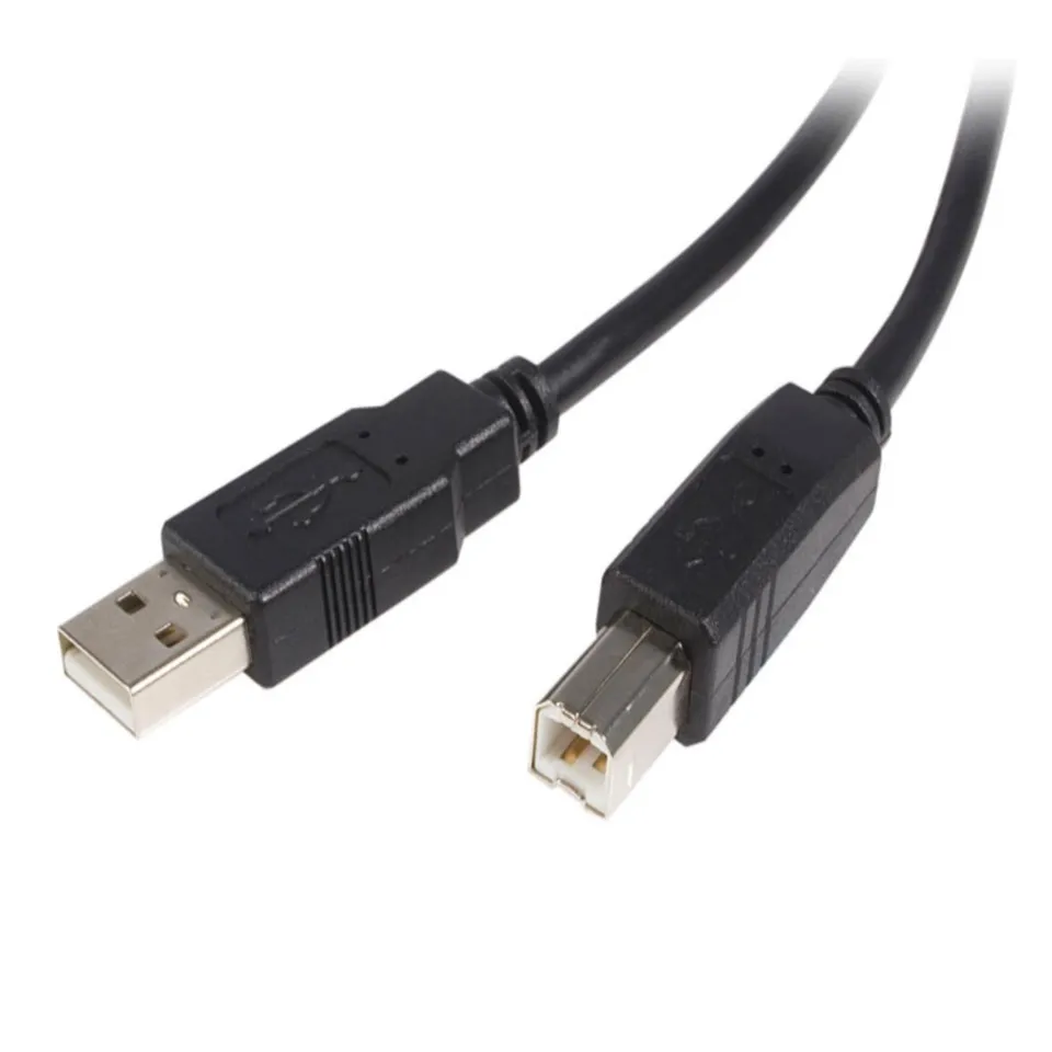 startech-com-usb2hab2m-c-ble-usb-2-0-a-vers-b-m-m-2-m-noir image 1