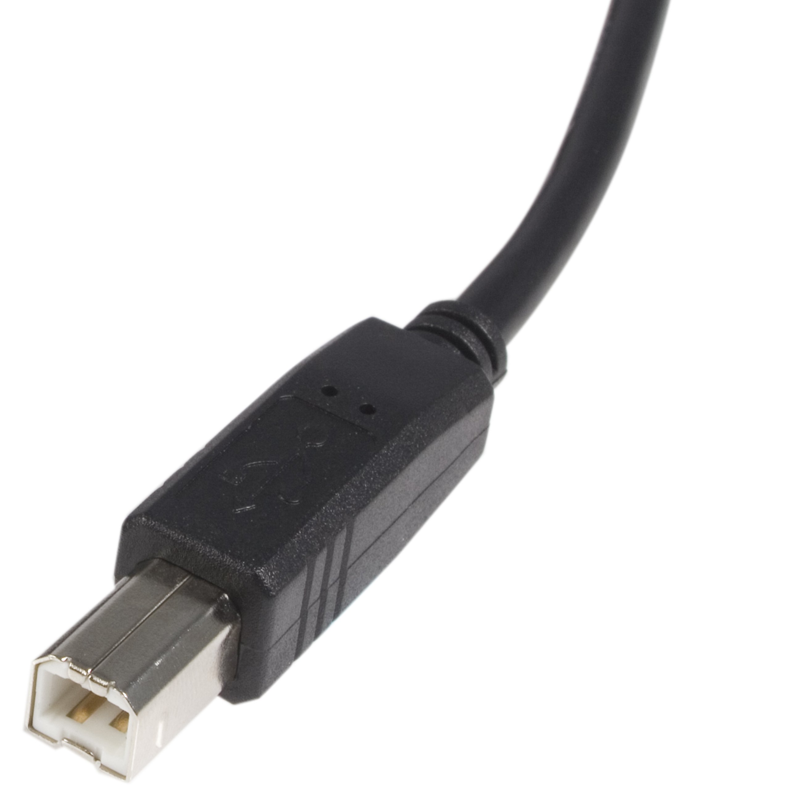startech-com-usb2hab6-c-ble-usb-a-vers-usb-b-2-0-1-8-m-noir image 3