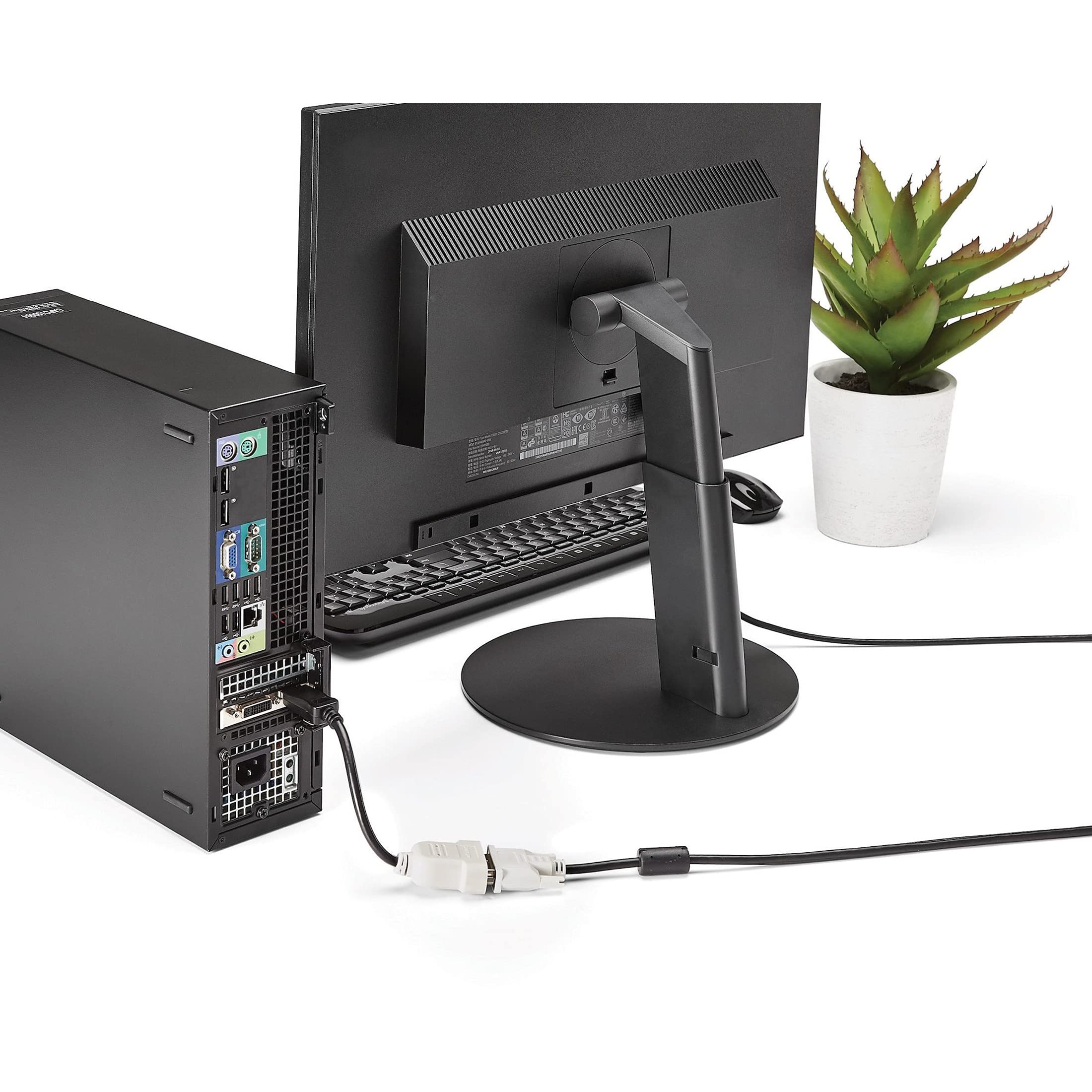 startech-com-dp2dvi-adaptateur-displayport-vers-dvi-d-1920x1200-passif image 4