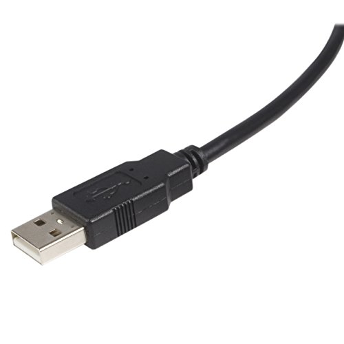 startech-com-usb2hab6-c-ble-usb-a-vers-usb-b-2-0-1-8-m-noir image 6
