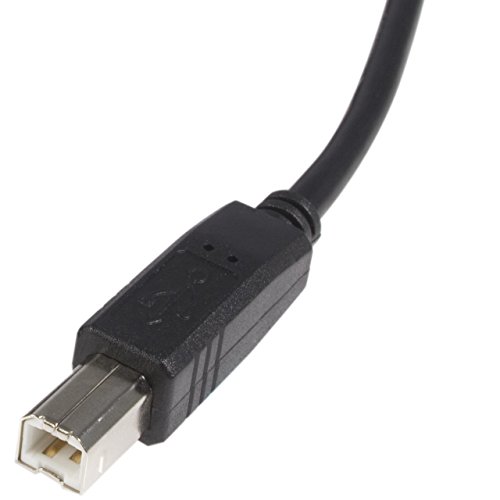 startech-com-usb2hab6-c-ble-usb-a-vers-usb-b-2-0-1-8-m-noir image 7
