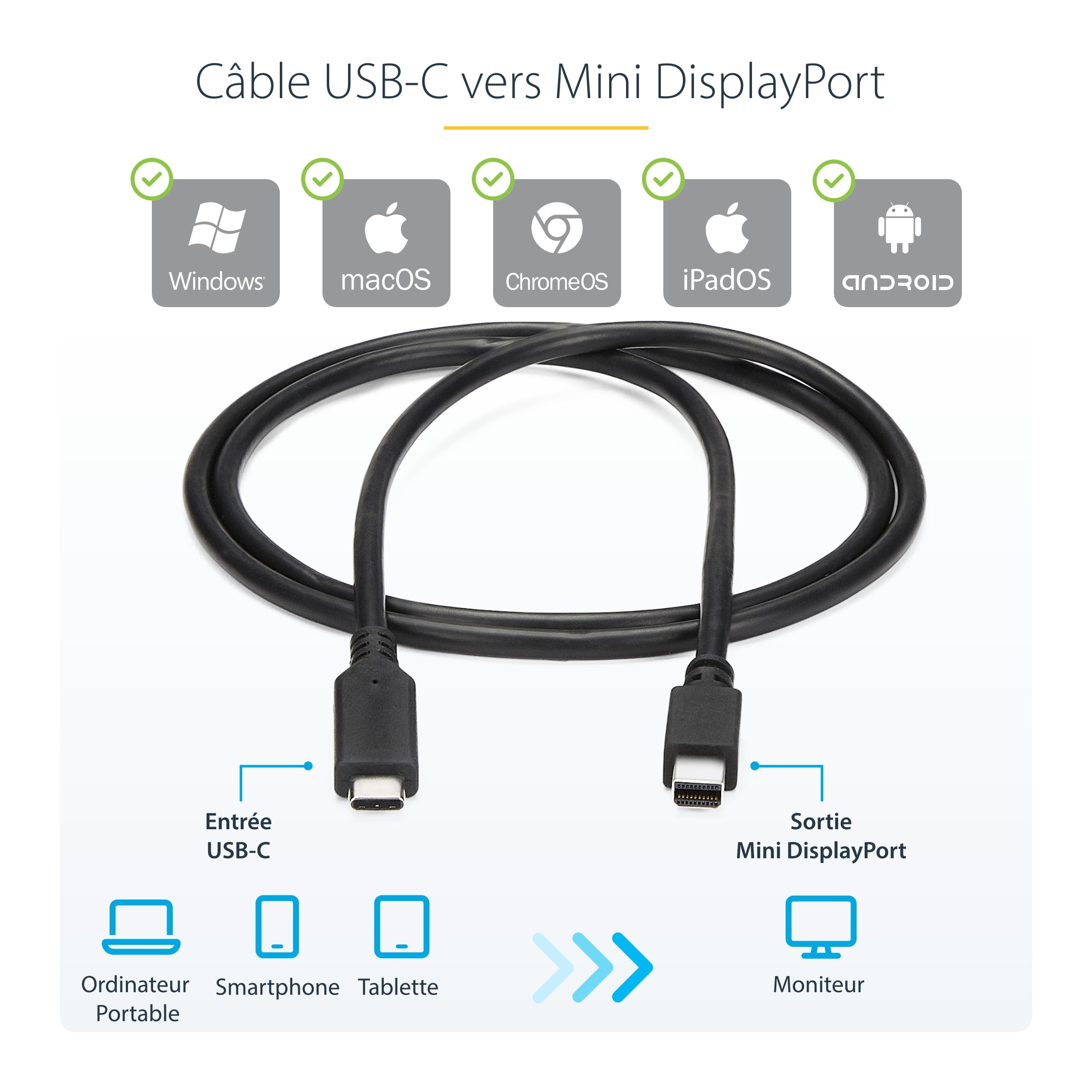 startech-com-c-ble-usb-c-vers-mini-displayport-1-2-1-m-4k-60-hz image 3