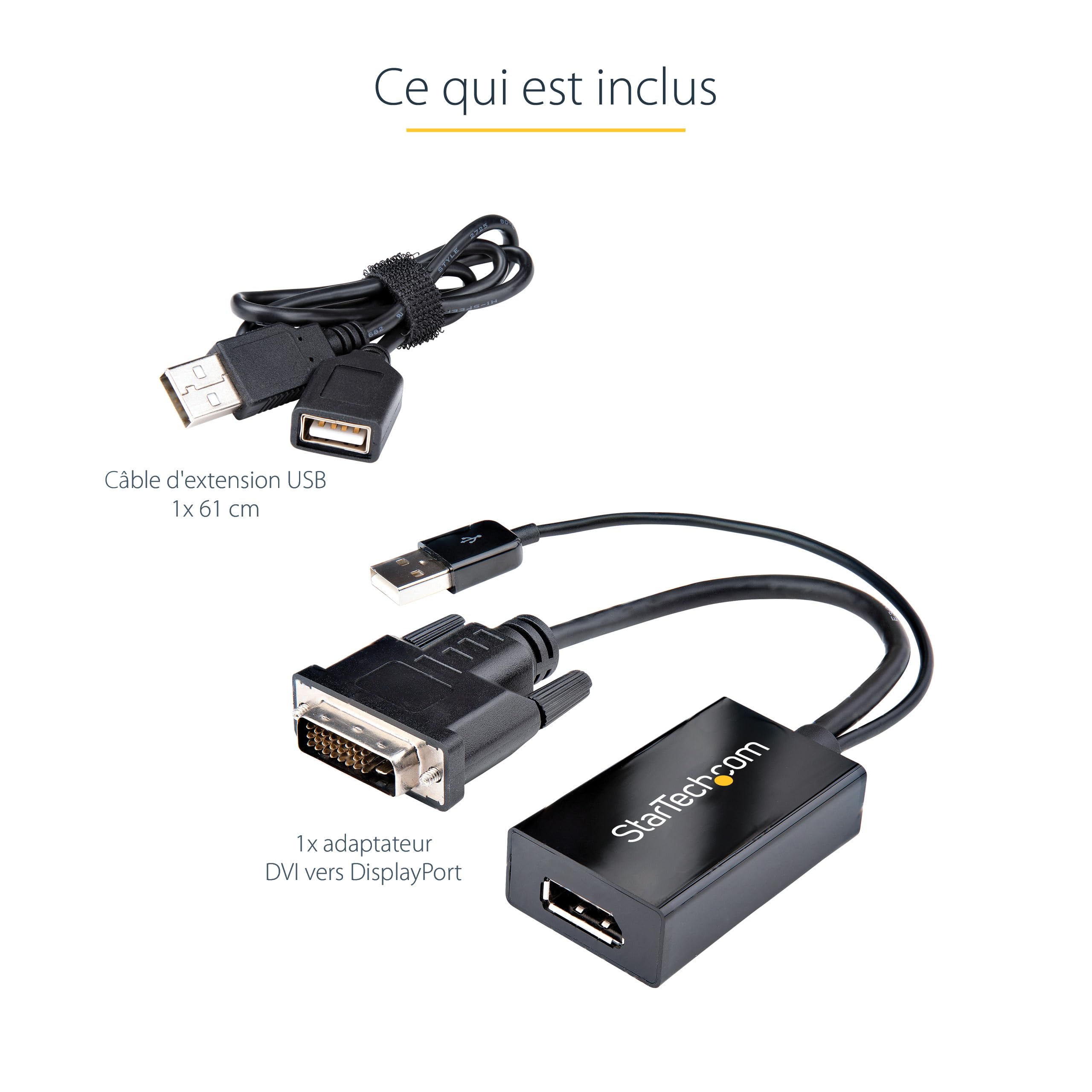 startech-com-adaptateur-dvi-vers-displayport-avec-alimentation-usb-1920x1200 image 7