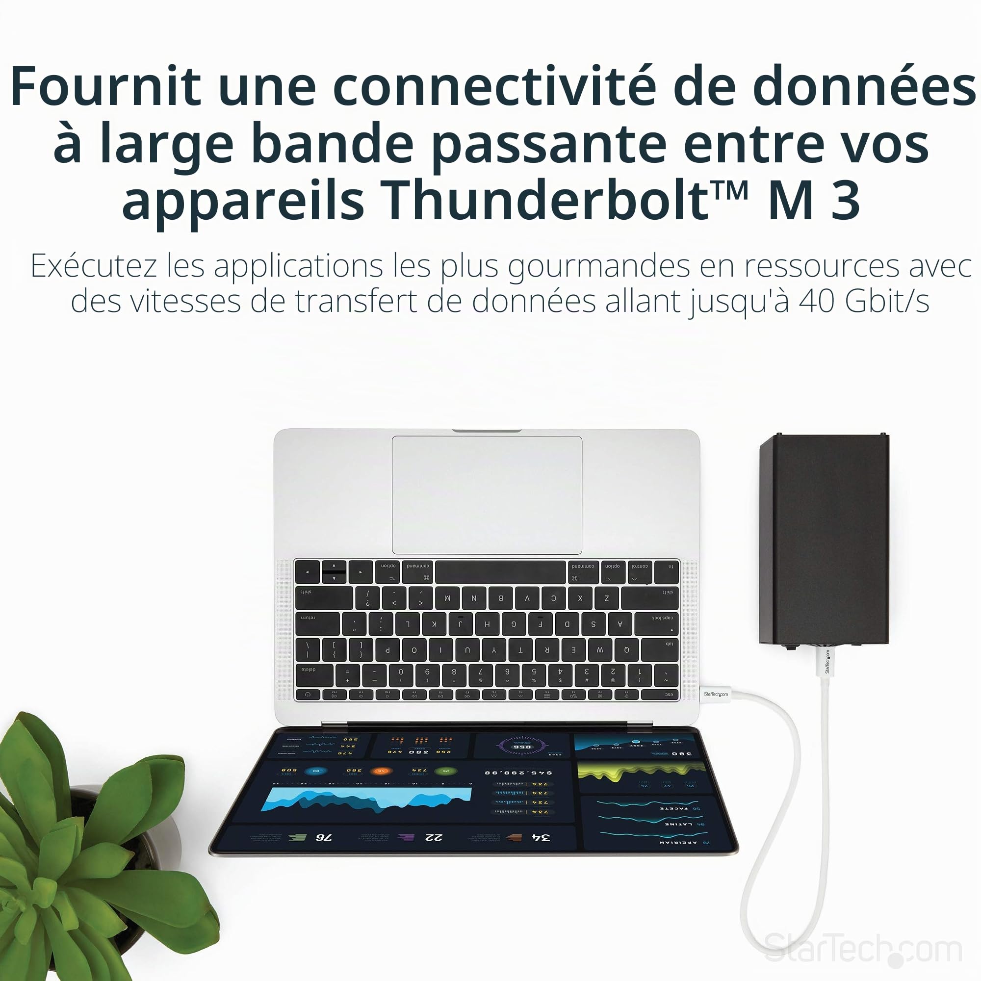 startech-com-c-ble-thunderbolt-3-passif-0-5m-40gbps-100w-pd-usb-c-blanc image 2