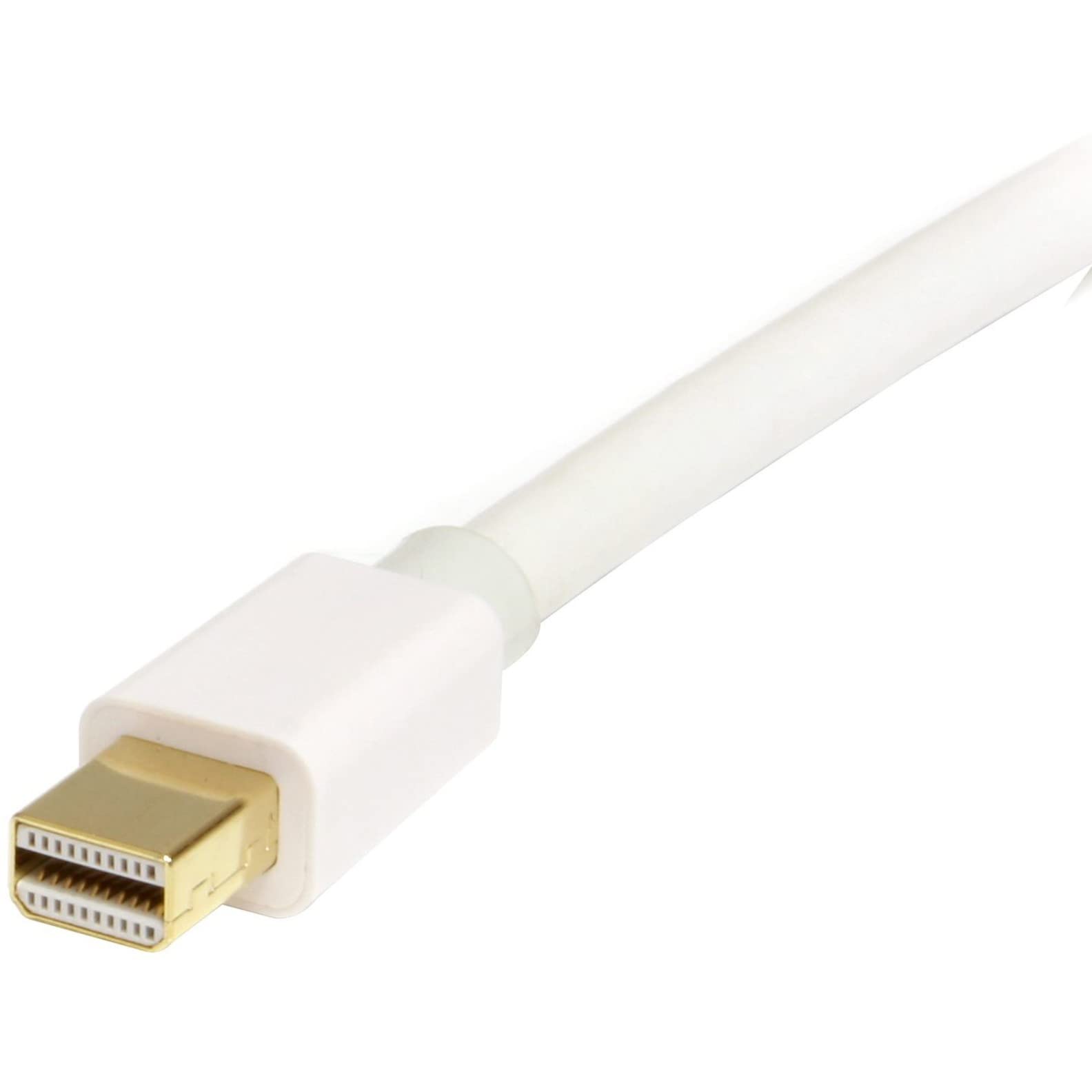 startech-com-mdp2dpmm2mw-c-ble-mini-displayport-vers-displayport-1-2-2m-blanc-4k image 3